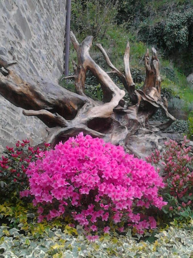 O Paxar Villa Samos Exterior foto